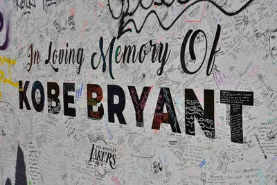 DSC_7165 (Large).JPG